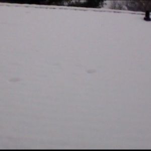 Meet your Posher, Blake